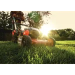 2x20V - ΧΛΟΟΚΟΠΤΙΚΗ ΜΗΧΑΝΗ, ΑΥΤΟΚΙΝΟΥΜΕΝΗ, 0150BA, 50L, SKIL Red Ηλεκτρικά Εργαλεία