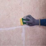 ΞΥΣΤΡΑ ΑΡΜΩΝ ΠΛΑΚΙΔΙΩΝ