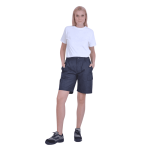 ΒΕΡΜΟΥΔΑ ΕΡΓΑΣΙΑΣ PYTHON ΓΚΡΙ ΕΙΔΗ ΠΡΟΣΤΑΣΙΑΣ