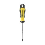ΚΑΤΣΑΒΙΔΙ PRO GRIP TORX 20x100mmx4mm, FF GROUP (32892)
