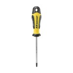 ΚΑΤΣΑΒΙΔΙ PRO GRIP TORX 20x100mmx4mm, FF GROUP (32892)