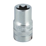 ΚΑΡΥΔΑΚΙ BENMAN 1/2'', ΘΗΛΥΚΟ TORX 14 (71593)