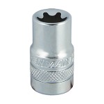 ΚΑΡΥΔΑΚΙ BENMAN 1/2'', ΘΗΛΥΚΟ TORX 18 (71595)