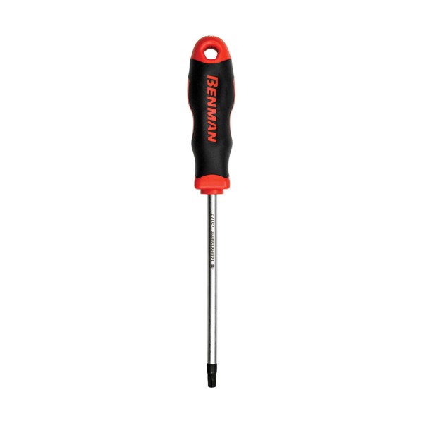 ΚΑΤΣΑΒΙΔΙ MAXPOWER TORX ΜΕ ΤΡΥΠΑ 30x125mm, BENMAN (75172)