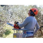 Αλυσοπρίονο Κλαδευτικό Echo CS-280TES 25cm - 26.9cc/1.5hp Κήπος - Αγρός