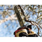Αλυσοπρίονο Κλαδευτικό Echo CS-280TES 25cm - 26.9cc/1.5hp Κήπος - Αγρός