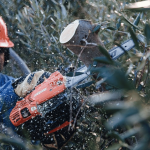 Αλυσοπρίονο Κλαδευτικό Echo CS-2511TES 1.1 1/4 Κήπος - Αγρός